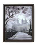 Central Park Framed Canvas