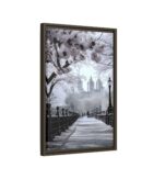 Central Park Framed Canvas
