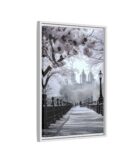 Central Park Framed Canvas