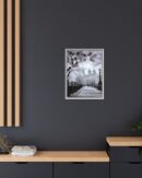 Central Park Framed Canvas
