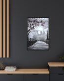 Central Park Framed Canvas