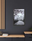 Central Park Framed Canvas