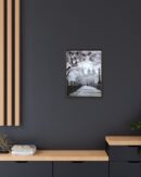 Central Park Framed Canvas