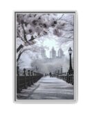 Central Park Framed Canvas