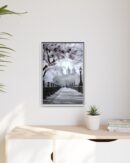 Central Park Framed Canvas