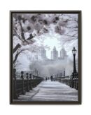Central Park Framed Canvas