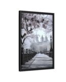 Central Park Framed Canvas