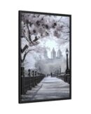 Central Park Framed Canvas