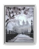 Central Park Framed Canvas