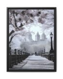 Central Park Framed Canvas