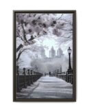 Central Park Framed Canvas