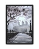 Central Park Framed Canvas