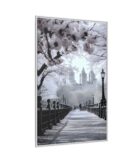 Central Park Framed Canvas