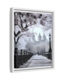 Central Park Framed Canvas