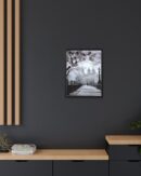 Central Park Framed Canvas