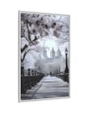 Central Park Framed Canvas