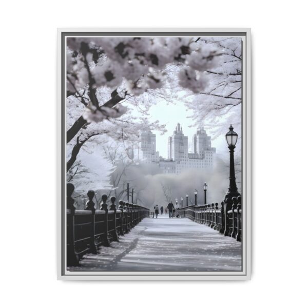 Central Park Framed Canvas