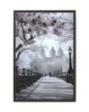 Central Park Framed Canvas